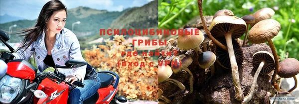 МДПВ Арсеньев