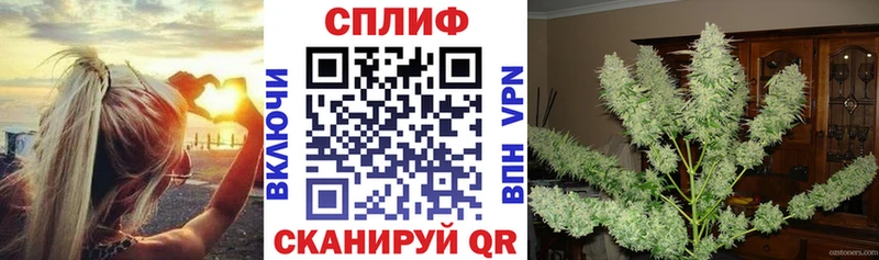 hydra вход  Стародуб  МАРИХУАНА ГИДРОПОН 